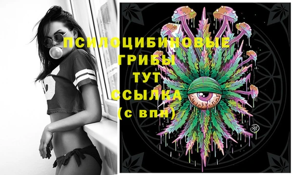 экстази Алексеевка