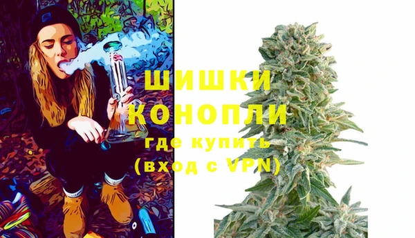 шишки Алзамай