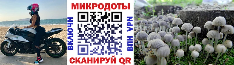 Псилоцибиновые грибы прущие грибы  закладки  Тара 